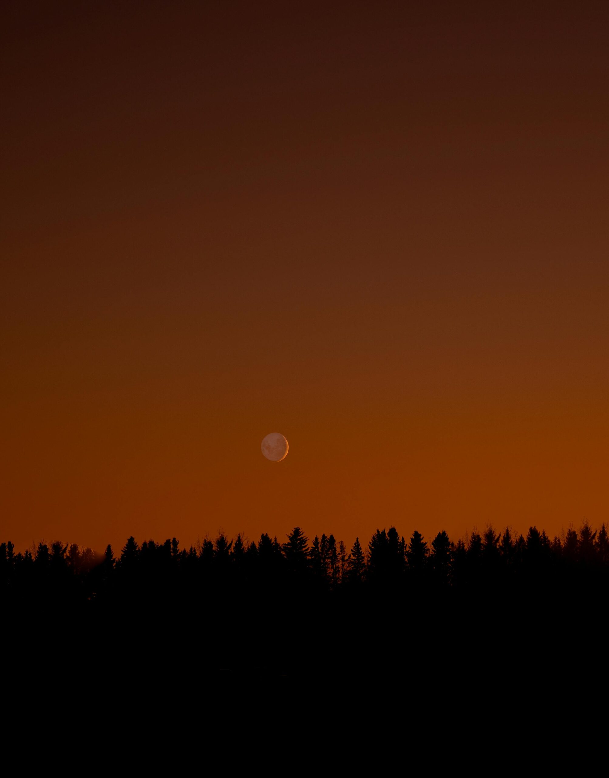 Don’t Deceive Yourself